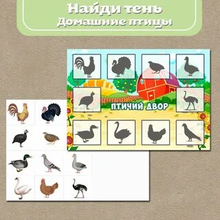 Игра домашние птицы