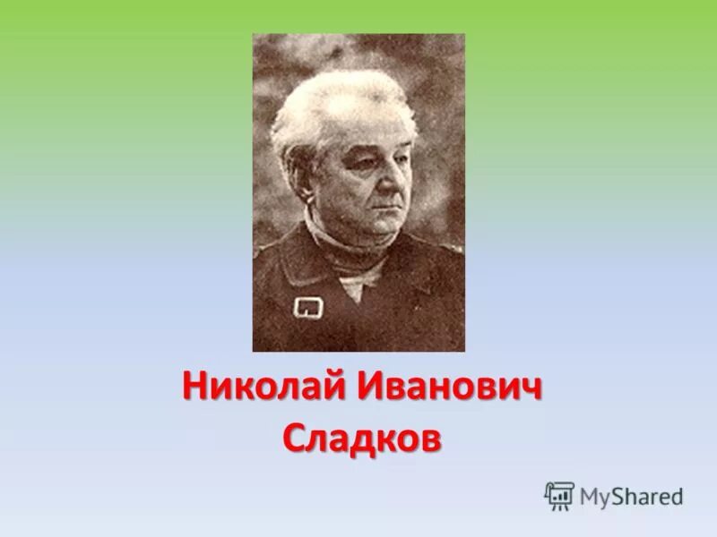 Сколько лет александру сладкову. 5 января 1920 года родился николай иванович сладков. Сколько лет александру сладкову. Николай иванович сладков (1920—1996). Николай иванович сладков (1920—1996).