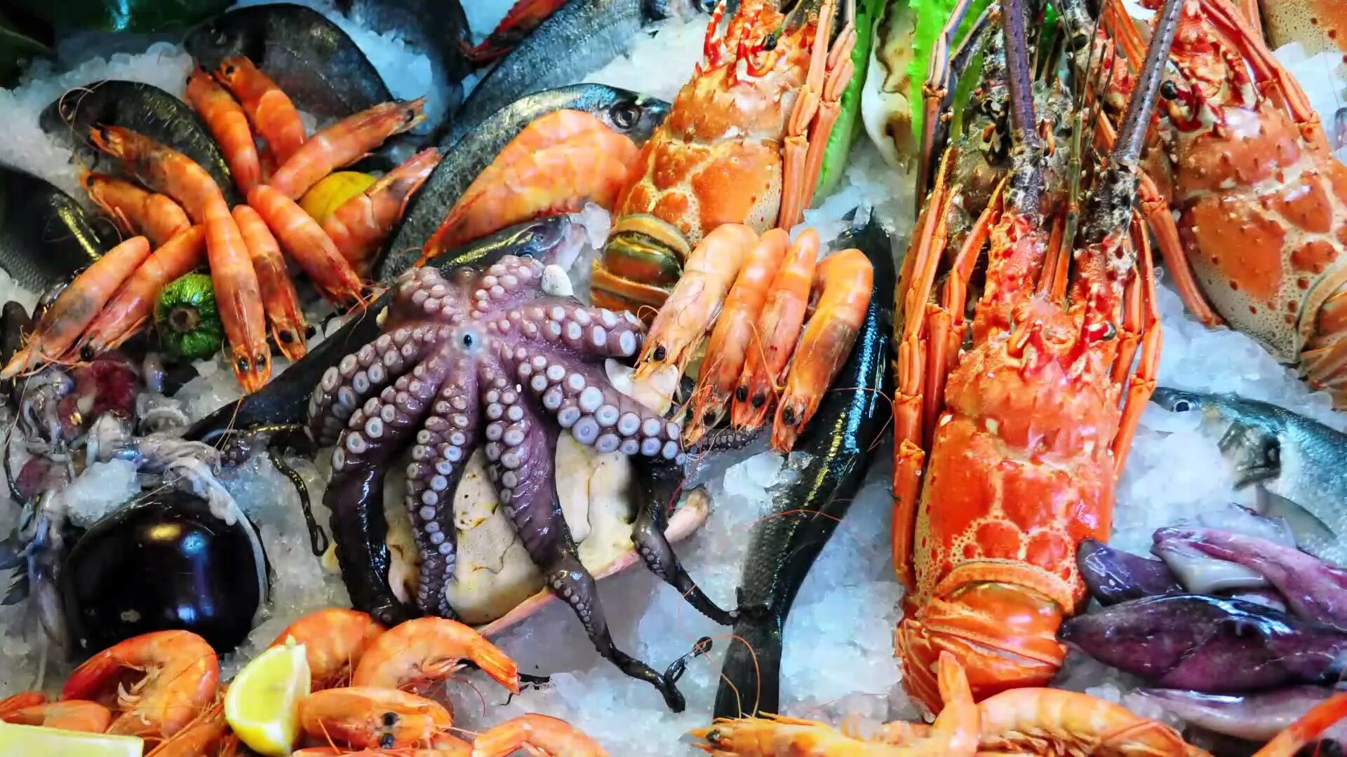 морские деликатесы краснодар пашковка. мор рыбы. королевский гребешок. съедобное морское. съедобное морское.