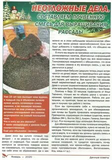 Старосельцева дачные советы