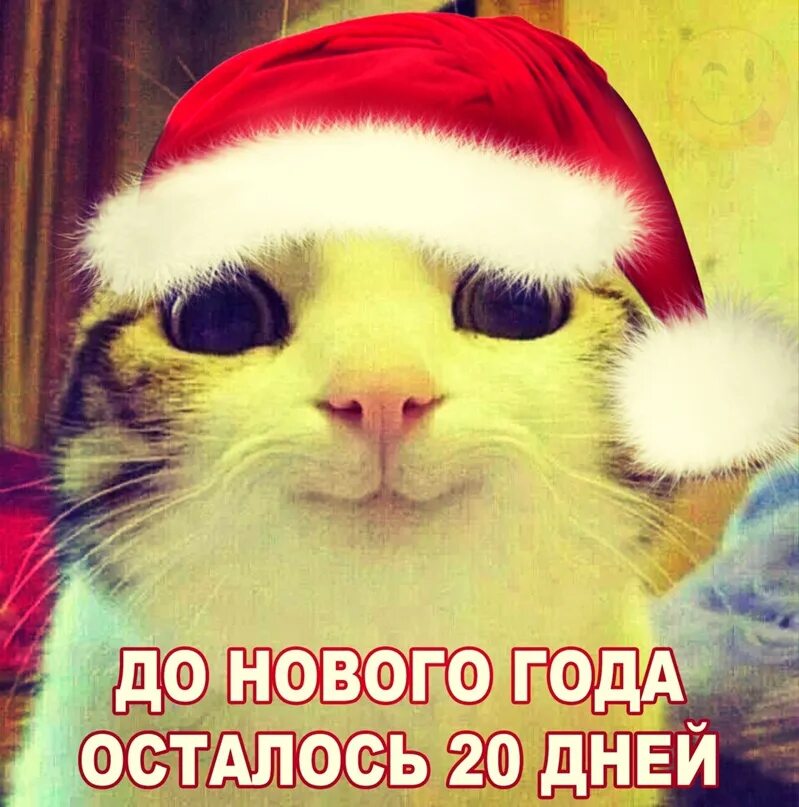До нового года осталось 5 дней картинки. Скажи до нового года. Открытка до нового года. Открытки до нового года осталось 21 день. До нового ода осталось.