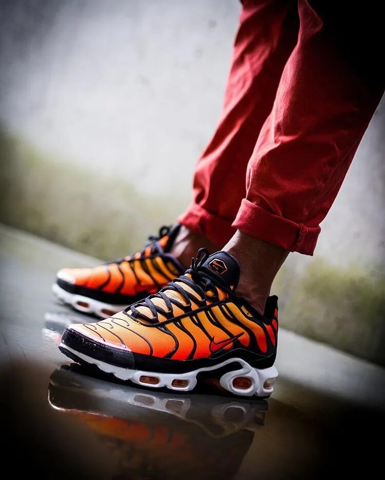 Нав тн. Nike Air Max TN Plus. Nike Air Max TN Plus 2. Nike Air Max TN Plus Tiger. Nike Air Max Plus TN Ultra Tiger.