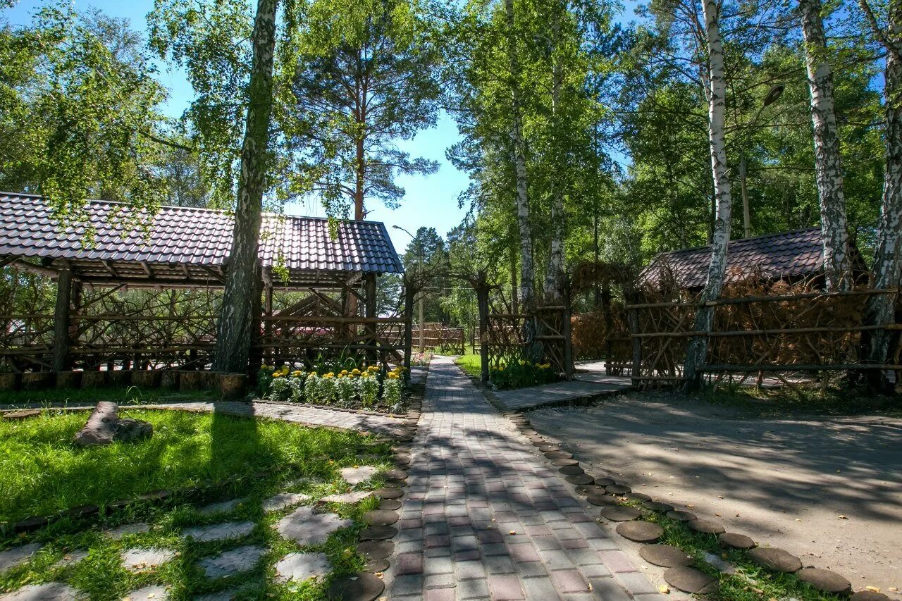 Парк отель Чайка Барнаул. База Чайка Барнаул. Парк отель Чайка Барнаул беседки. Парк отель Барнаул Чайка Барнаул. Чайка купить путевку