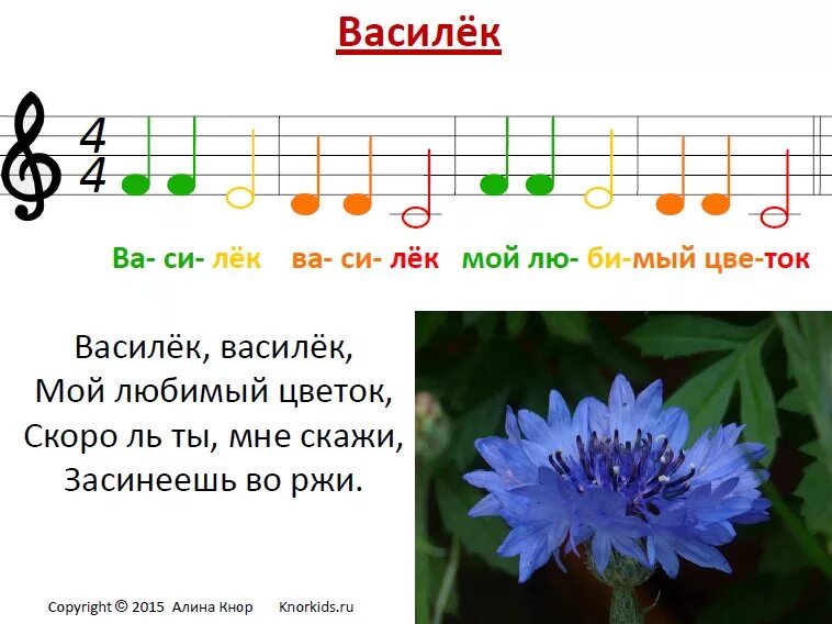 Василек мой любимый цветок Ноты. Василек Ноты для фортепиано. Василек Василек Ноты. Ноты детских песенок.