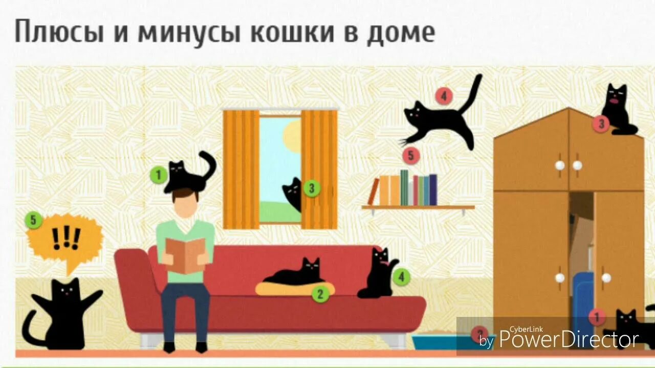 Плюсы и минусы кошки в доме. Минусы котов в квартире. Плюсы кошек. Плюсы кота в квартире.