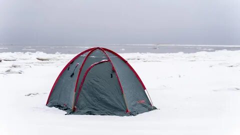 Talberg pro