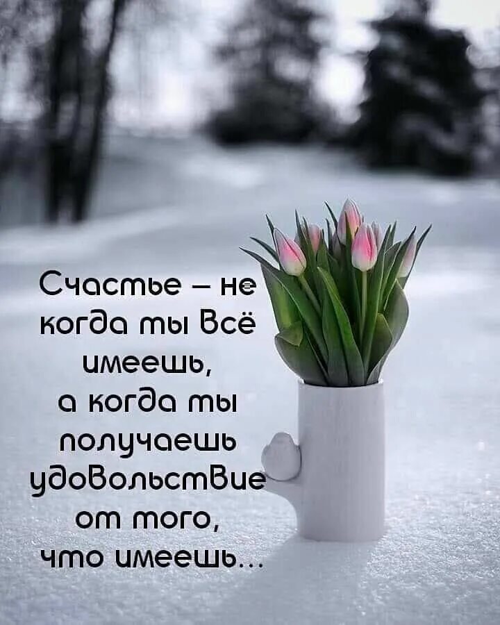 Полон надежд. Цитаты про весну. Надеяться февраль. Надеяться февраль. Надеяться февраль.