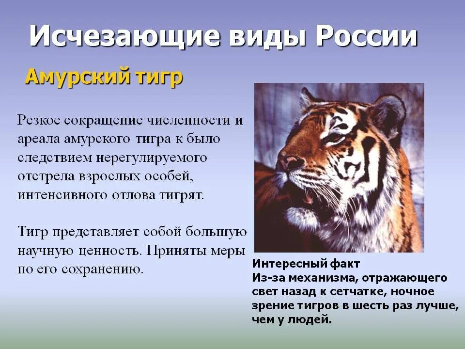 Почему информация исчезает