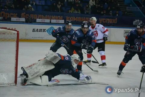 Новости вхл последние новости на сегодня