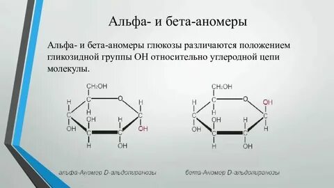 Ркд бета