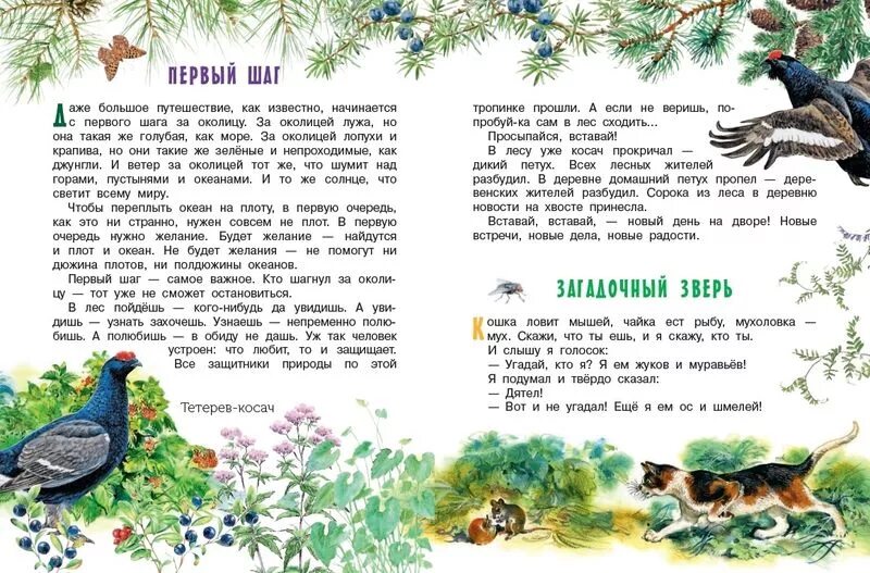 Н сладков рассказы 2 класс. И. Сладков н. Н сладков рассказы 3 класс о животных. Н сладков рассказы 2 класс.