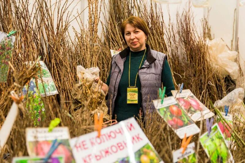 Выставка садоводов. Ярмарка садоводов. Выставка садоводства. Выставка огородников.