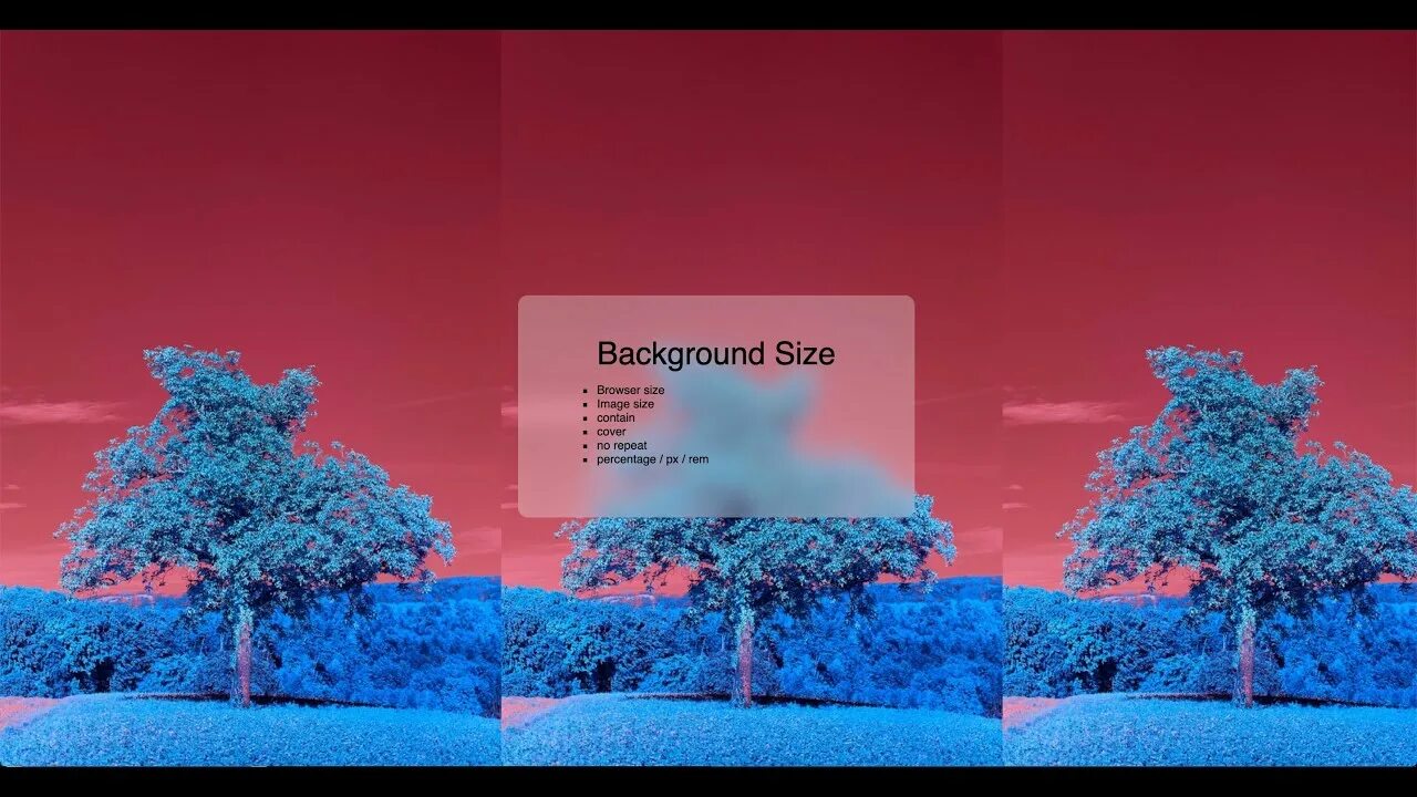 Background Size CSS. Background-Size: Cover;. Cover contain. Background Size html. Css contain