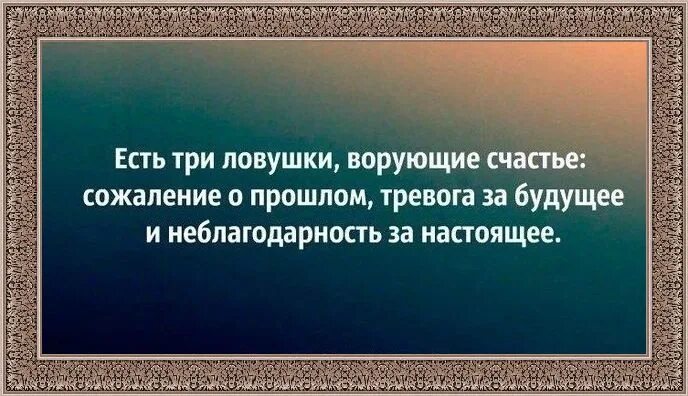 Тексты л живой. Фразы про гнилых людей. Цитаты про гнилых людей. Цитаты про гнилых людей со смыслом. Цитаты про гнилых друзей.