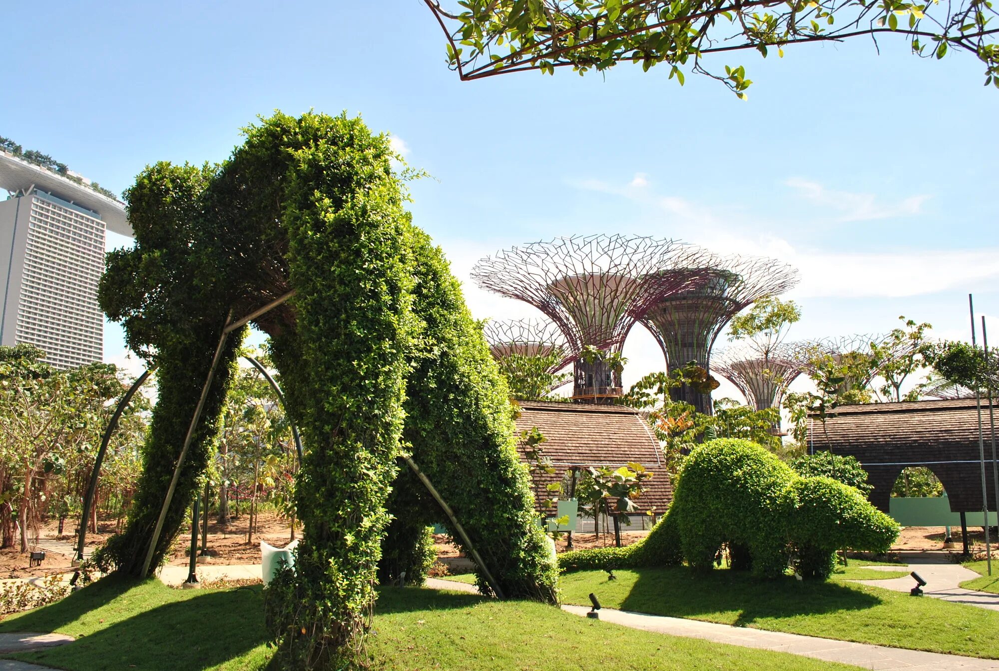 Сад лучшие деревья. Роща супердеревьев Сингапур. Сингапур Ботанический сад. Гарденс Бэй Бэй Сингапур. Сингапур парк сады у залива.