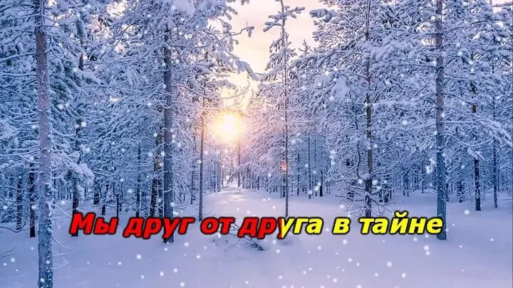 Красивый сад зимой. Зимний сад белым пламенем объят. Сергей грищук - ты со мной. Пергола арка «зимний сад». Зимний сад белым пламенем объят.