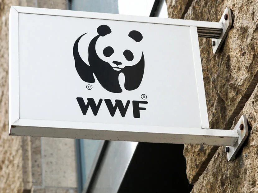 Ввф фонд дикой природы. День рождения всемирного фонда дикой природы (wwf). Всемирный фонд дикой природы международные организации. Штаб квартира всемирного фонда дикой природы находится. Всемирный фонд дикой природы эмблема.