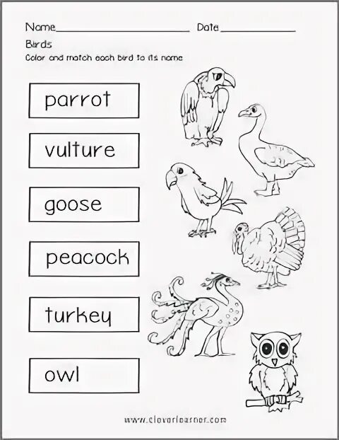 Birds задание. Birds Worksheets for Kids. Domestic Birds Worksheets for Kids. Listening Birds Worksheet. Birds in English Worksheets.