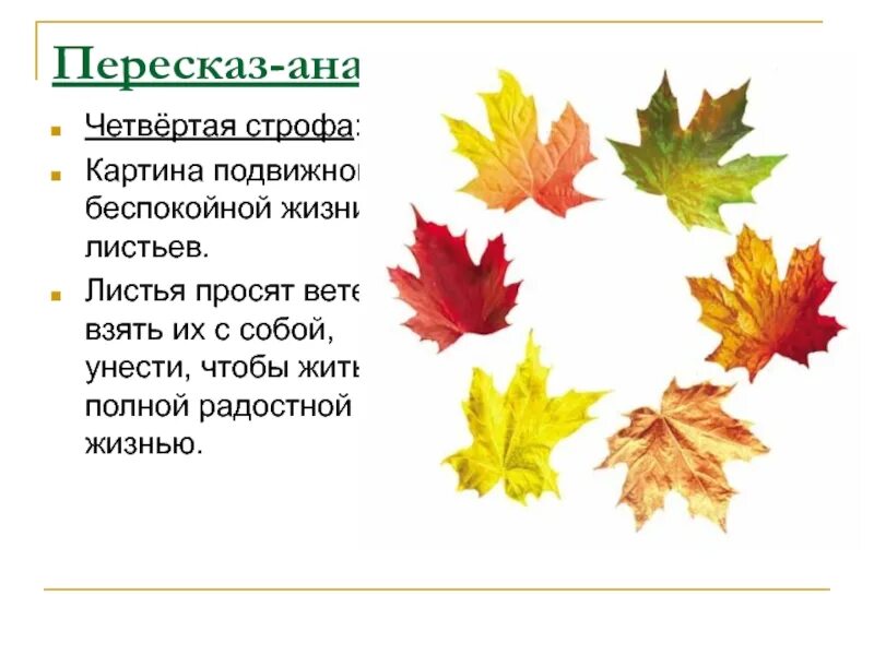 Когда было написано стихотворение тютчева листья. Листья стихотворение ф.и тютчева. ф и тютчев листья 3 класс. стихотворение листья. стихотворение тютчева листья.