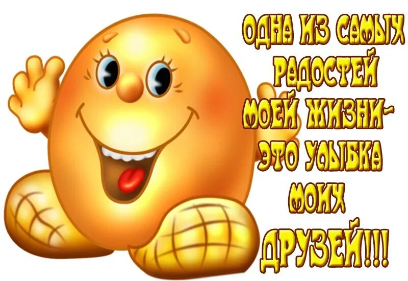 Привет картинки. Анимированное солнышко. Приветик от меня. Стикер привет друзьям. Приветствие анимация.