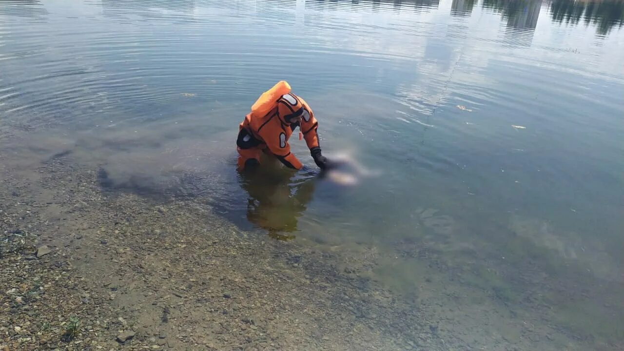 Какое тело не утонет в воде кирпич. В Десногорске утонул мужчина. Водолазы.