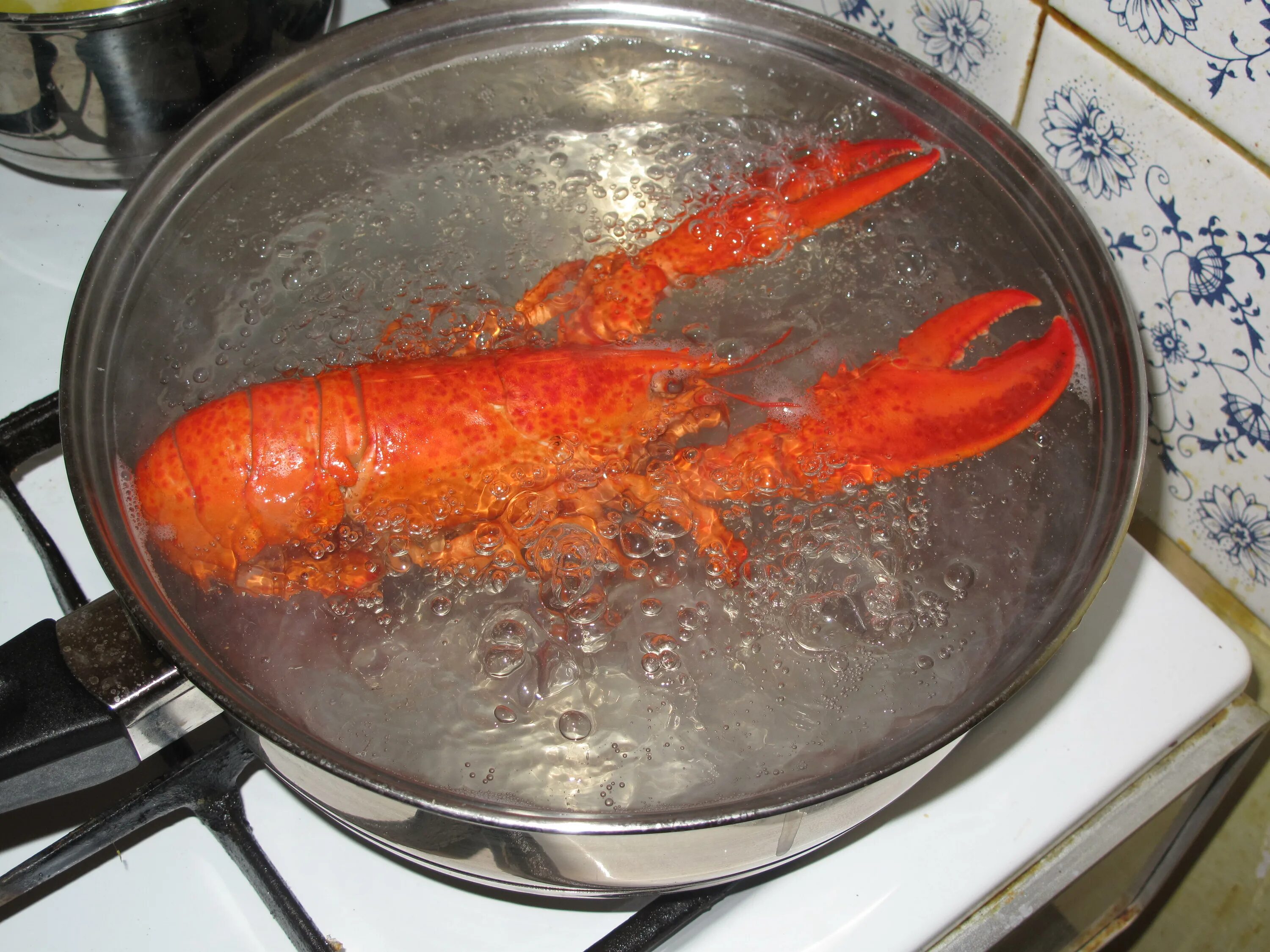 Раки в кастрюле фото Ах, этот аромат!...: your_food_today ЖЖ