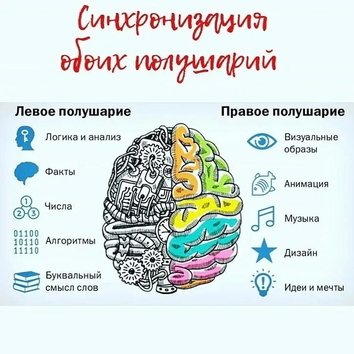 Левое и правое полушарие за что отвечает. Полушария мозга. Левое и правое полушарие. Левое и правое полушарие мозга. Левое и правое полушарие мозга мышление.