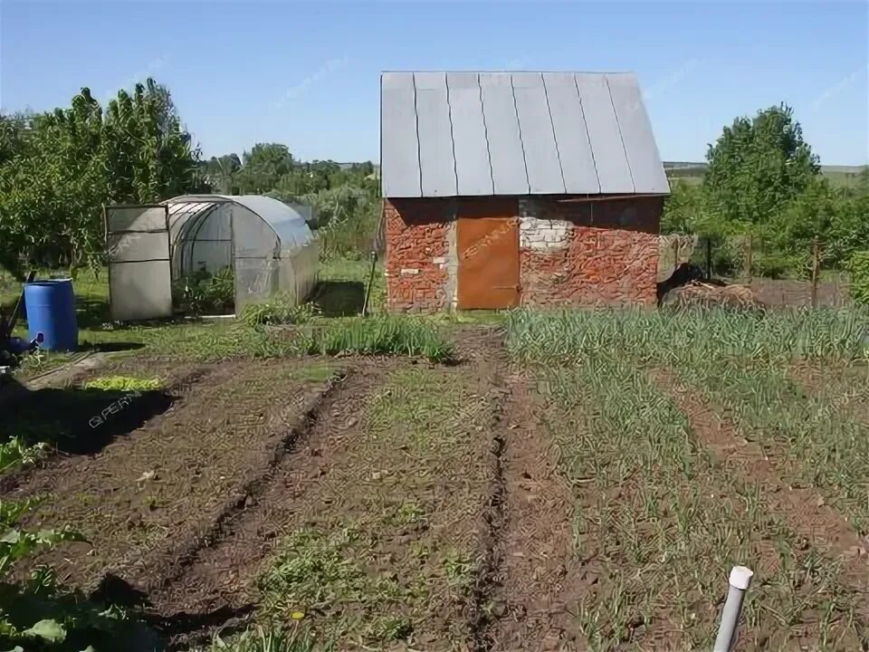 Ягодное нижегородская область погода. Ягодное нижегородская область погода. Село ягодная поляна саратовская область. Ягодное нижегородская область погода. Ягодное нижегородская область погода.