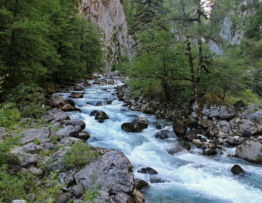 Поступи горный. Горный ручей Абхазия. Горный Ручеек Дагестанский. Горные ручьи Дагестана. Горные реки Убин.