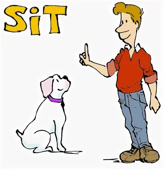 Sit картинка для детей. Dog for Kids for Kids Flashcards. Obedient Dog. Walk a Dog picture for Kids на прозрачном.