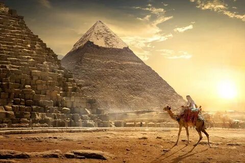 Egyptian live