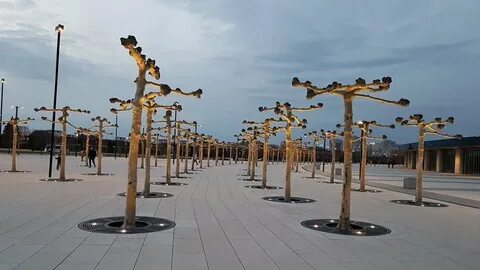 Розовый парк в краснодаре где