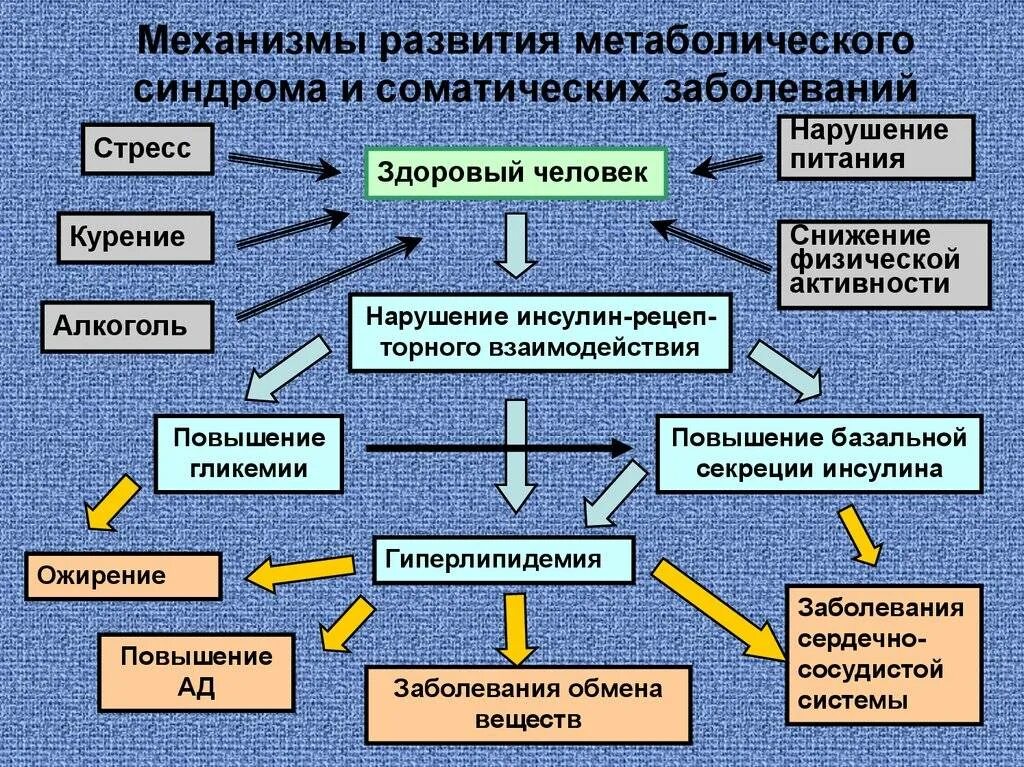 К развитию какой болезни. Причины развития метаболического синдрома. Механизм развития метаболического синдрома. Патогенез метаболического синдрома схема. Причины и механизмы развития метаболического ожирения.