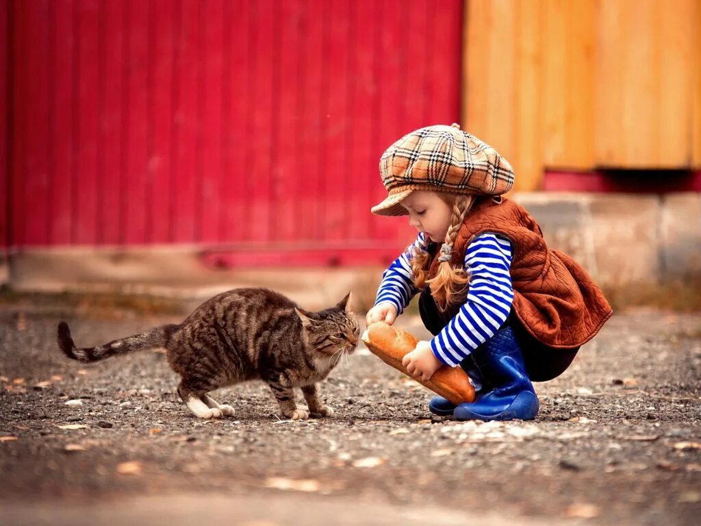 Кошка для детей. Коты и дети. Девочка с котятами. Как коты делают детей. Кошки и дети за уроками.