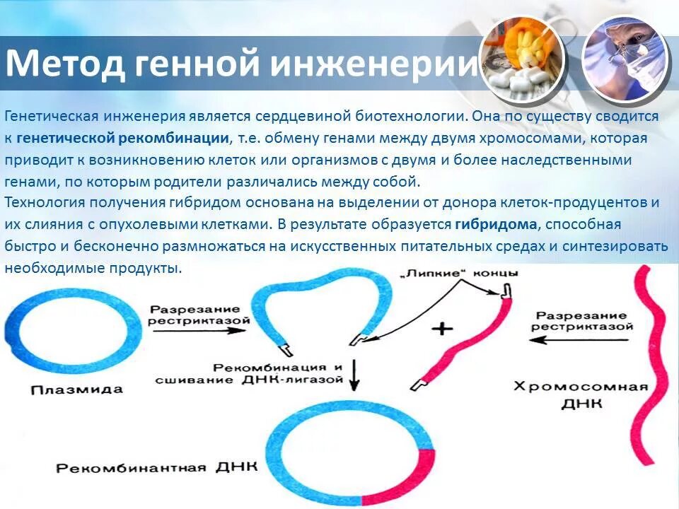 Применение генетических технологий: найдено 83 изображений