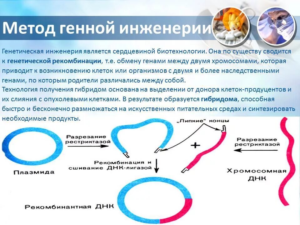 Какова цель генной инженерии. Методы генной инженерии презентация. Методы изучения генной инженерии. Методы генной инженерии в биологии. Генная инженерия микробиология.