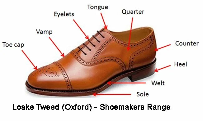 Туфли на английском языке. Детали мужской обуви. Английские туфли мужские. Наименование деталей обуви. Английские ботинки мужские.