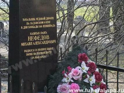 Глава дорога жизни