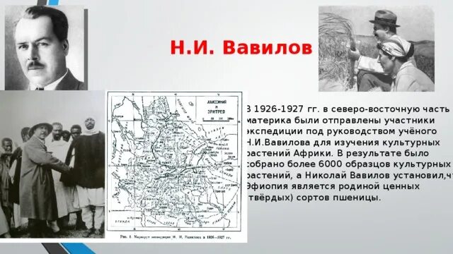 Вавилов исследование Африки. Экспедиции Вавилова. Исследования Вавилова.