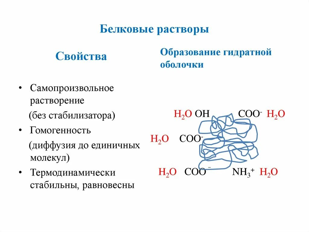 Свойства белковых молекул. Характеристика белков. Белковые растворы. Гидратная оболочка белков. Образование гидратной оболочки белка.