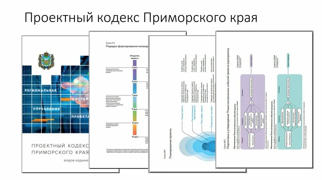 Проектный кодекс Приморского края. Агентство проектного управления Приморского края. Vitra в России проектный отделы. Проектное управление ваза Тольятти схематично. Приморский край государственное управление