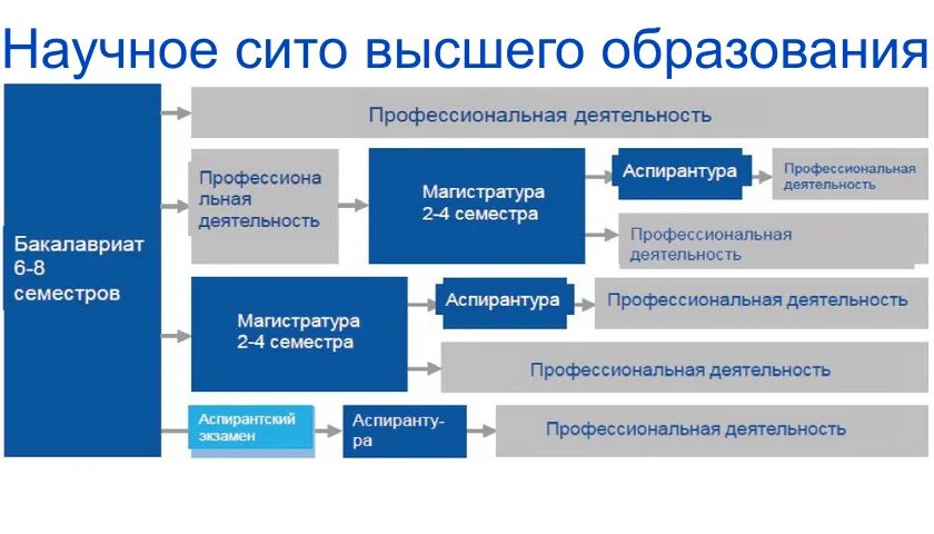 После школы какой уровень образования. Уровни высшего образования в РФ схема. Иерархия образования бакалавр. Структура высшего образования. Ступени высшего образования.