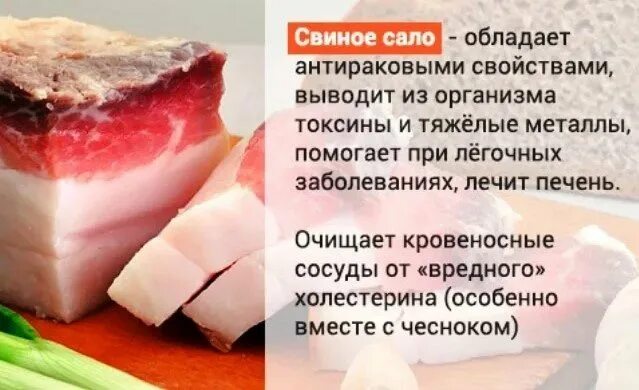 Сколько белков в сале. Сало. Калорийность свиного сала. Свиное сало польза. Холестерин в Свином шпике.