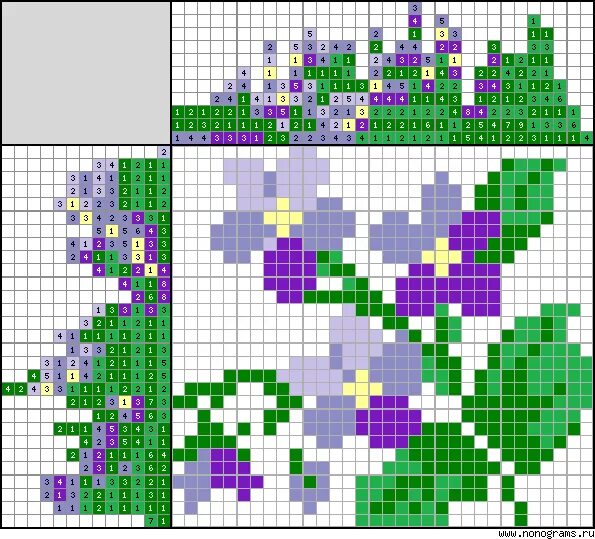 Сирень кроссворд. Японские кроссворды Анютины глазки. Японские кроссворды цветные фиалки. Японский кроссворд цветы. Цветные японские кроссворды цветы фиалки.