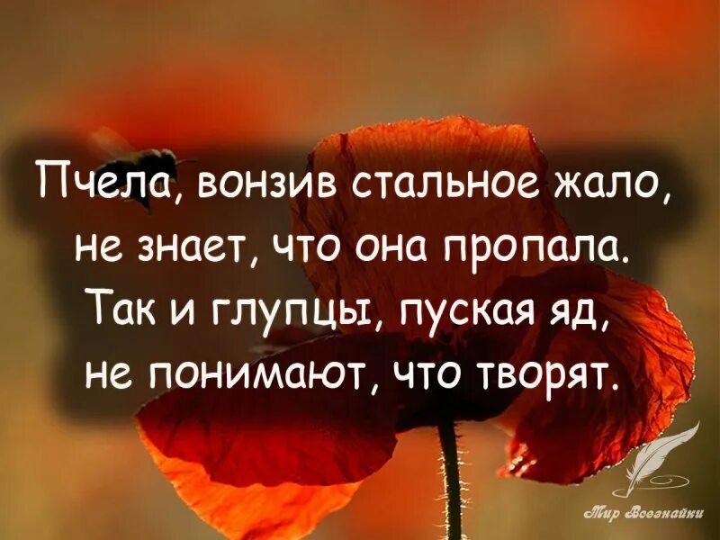 Пчела вонзив. Вонзив стальное жало. Пчела вонзив стальное жало не. Пчела вонзив стальное жало не знает что она пропала так. Песня я так люблю ее что нету