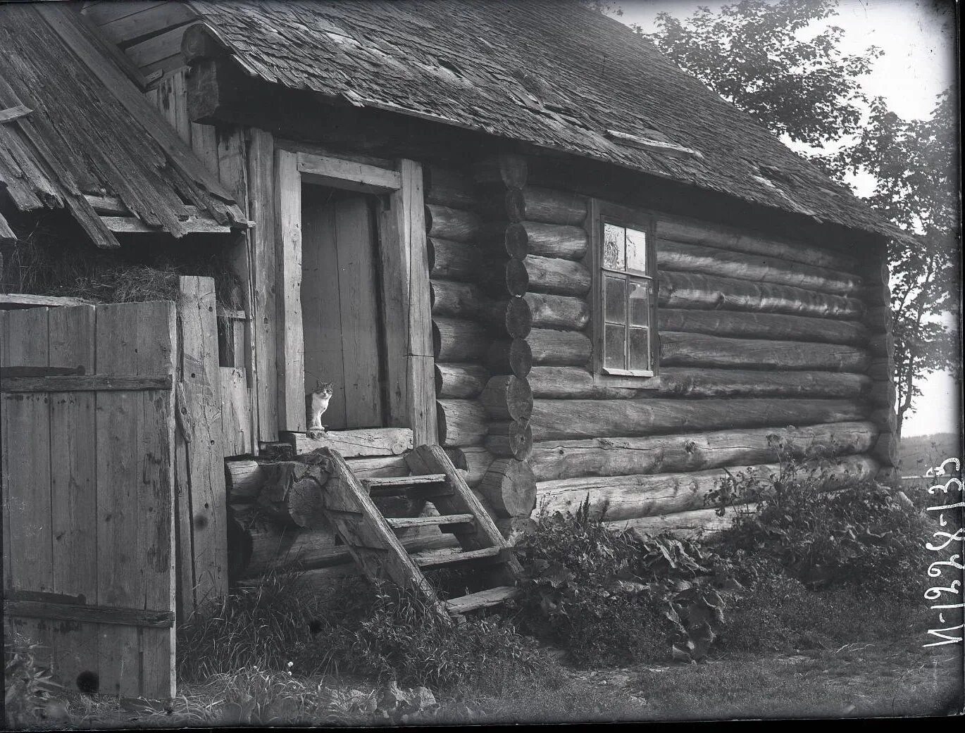Древние села. Село Никольское Тосненский район 1925. Старый деревянный дом.