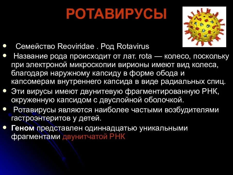 Ротавирус норовирус астровирус. Ротавирус строение вируса. Ротавирус презентация. Ротавирус род вид семейство.