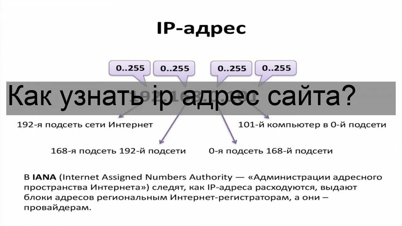 Найти ip адрес сайта. IP адрес сайта. Адрес сайта. Как найти адрес сайта. Как узнать IP адрес сайта.