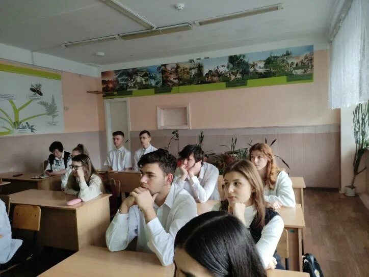 Школа коллегиум. Школа коллегиум 1 ялта. "школа-коллегиум" города алушты. Школа коллегиум 1 ялта. Элжур школа коллегиум.