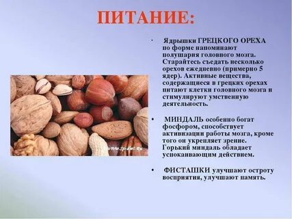 Чем полезны орехи для организма человека